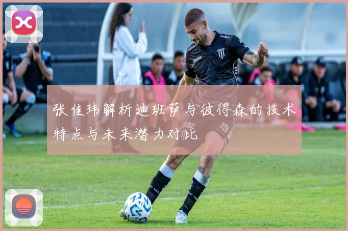 张佳玮解析迪班萨与彼得森的技术特点与未来潜力对比